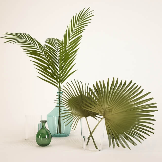 palm leaves in a vase 3D Models