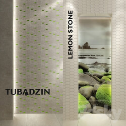 Bathroom accessories Tile Tubadzin Lemon Stone 
