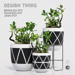 Plant designtwins pot 