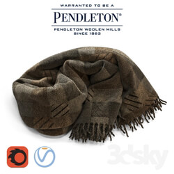 Other decorative objects PENDLETON woolen blanket for Corona Renderer and Vray 