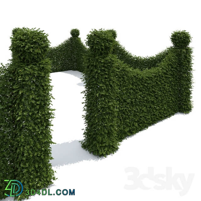 Plant Living fence