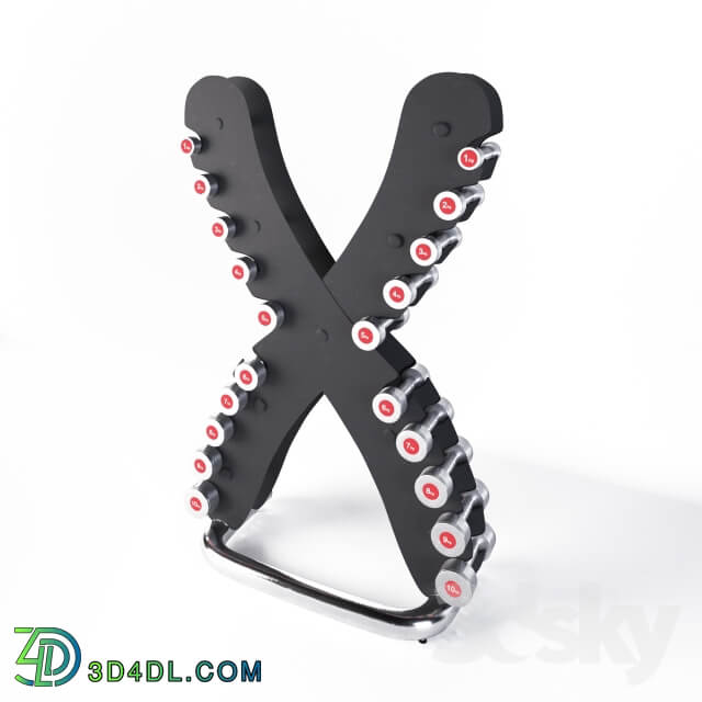 Life Fitness Set of chrome dumbbells with the X shaped stand