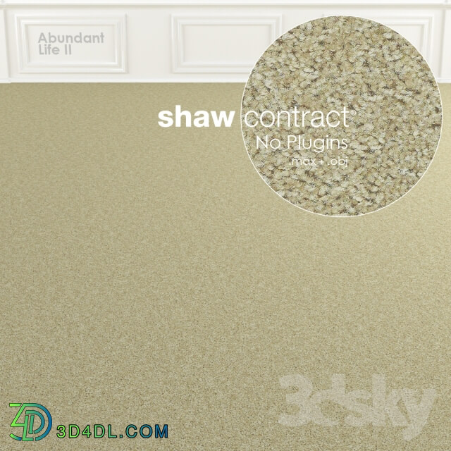 Shaw Carpet Abundant Life II No 1