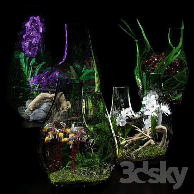Plant Terrarium vases with Orchids
