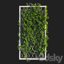 Outdoor Vines on wall 