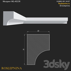 Molding MG 4023R from RosLepnina 3D Models 3DSKY 