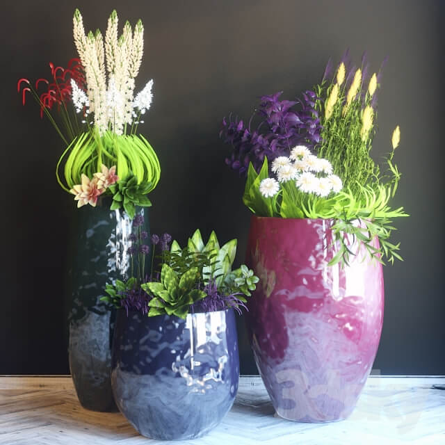 Plant Pots with flowers