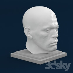 Sculpture - Statue head 