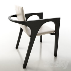 Chair - Dining Chair _ Armchair 