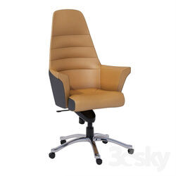 Office furniture - Leather executive chair 