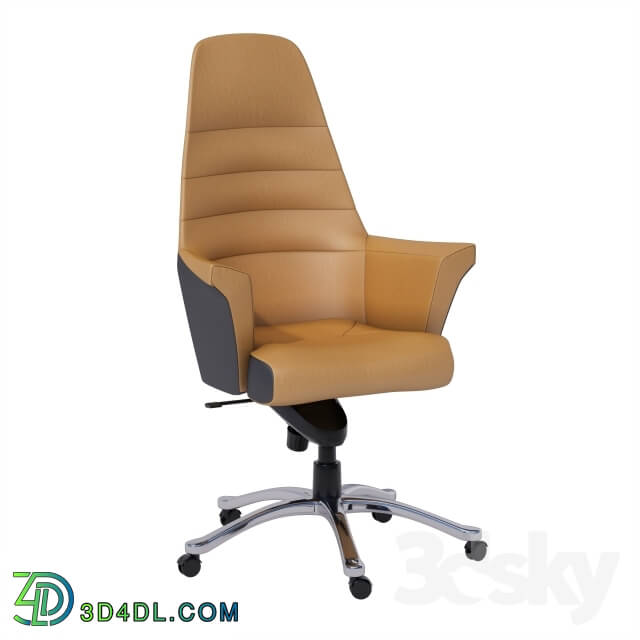 Office furniture - Leather executive chair