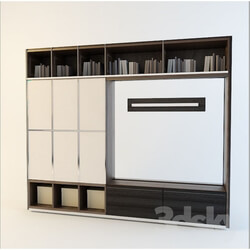 Wardrobe _ Display cabinets - Wall vstraevaema_ in niche 