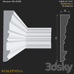 Molding MG 4030R from RosLepnina 3D Models 3DSKY 