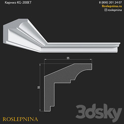 Cornice KG 200ET from RosLepnina 3D Models 3DSKY 