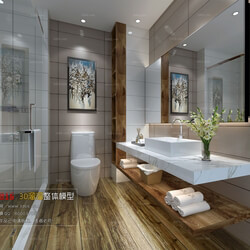 3D66 2016 Bathroom 1161 A005 