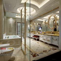 3D66 2016 European Style Bathroom 1182 D004 