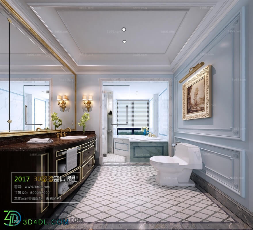 3D66 2017 European Style Bathroom 2984 050