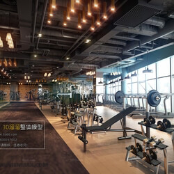 3D66 2017 Industrial Style Gym Room 3841 065 