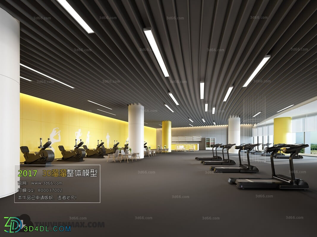 3D66 2017 Modern Style Gym Room 3805 029