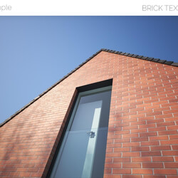 Viz People Texture Brick V1 (02) 