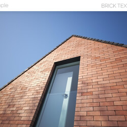 Viz People Texture Brick V1 (03) 