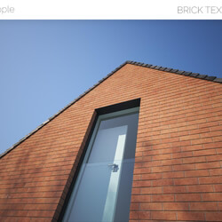 Viz People Texture Brick V1 (04) 
