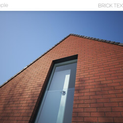 Viz People Texture Brick V1 (05) 