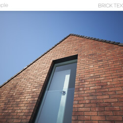 Viz People Texture Brick V1 (06) 