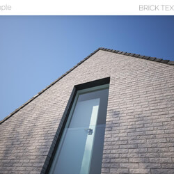 Viz People Texture Brick V1 (10) 