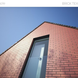 Viz People Texture Brick V1 (22) 