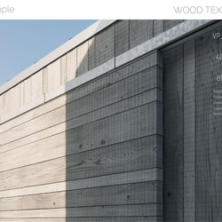 Viz People Texture Wood V1 (11) Ash 