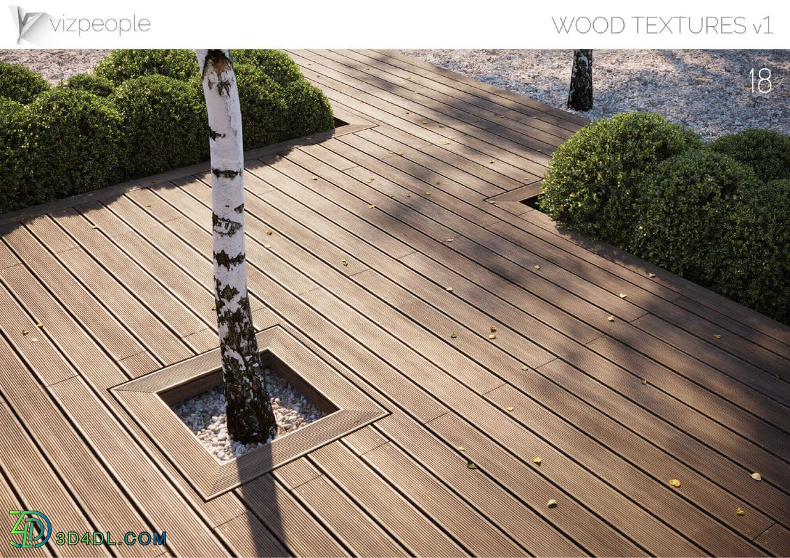 Viz People Texture Wood V1 (18) Oak