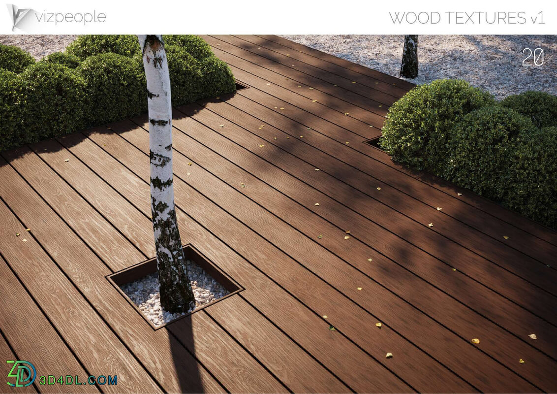 Viz People Texture Wood V1 (20) Composite