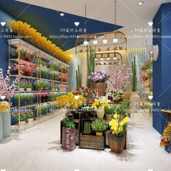  Flower Shop Scenes Vol 1 (027) 