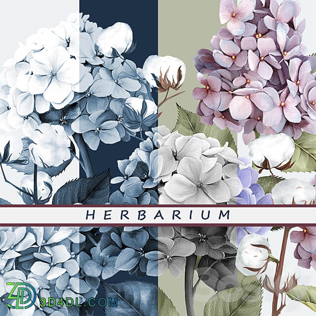 Designer wallpaper HERBARIUM pack 3 3D Models 3DSKY