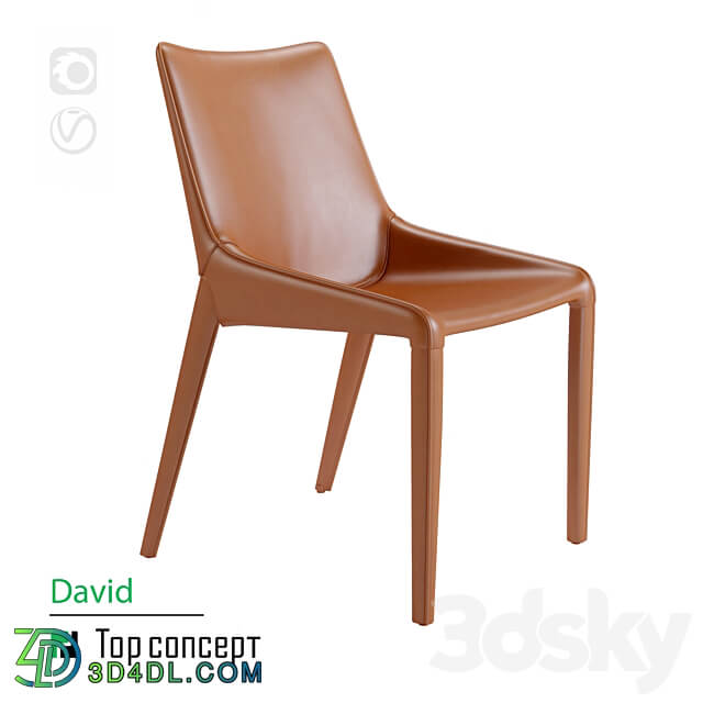 Chair David 3D Models 3DSKY