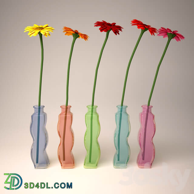 Gerbera 3D Models