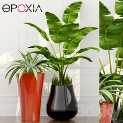 epoxia planters 3D Models 