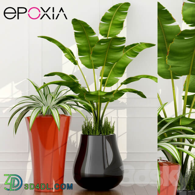 epoxia planters 3D Models