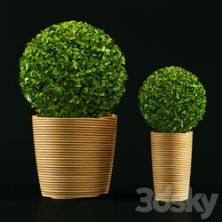 Plant 3D Models 