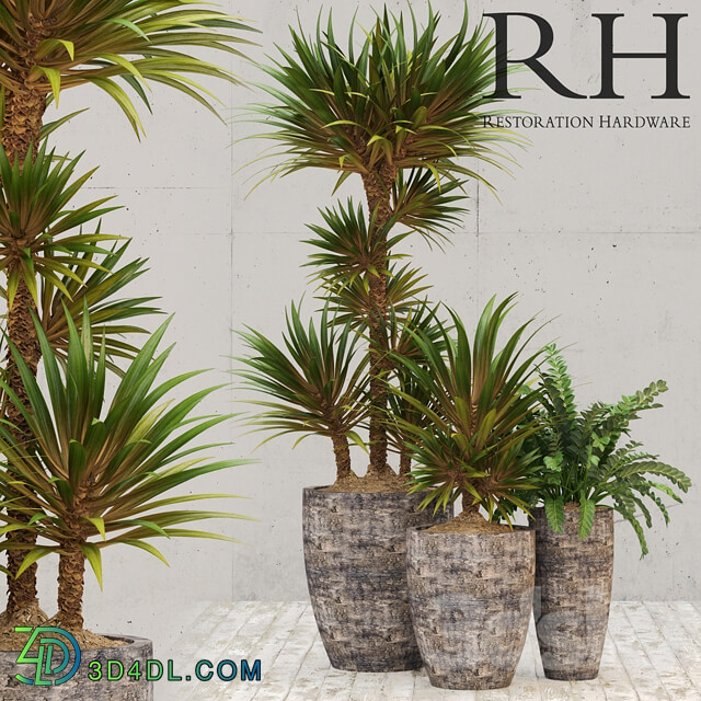 Restoration Hardware corso planter 3D Models