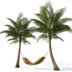 Hammock on palm trees Other 3D Models 