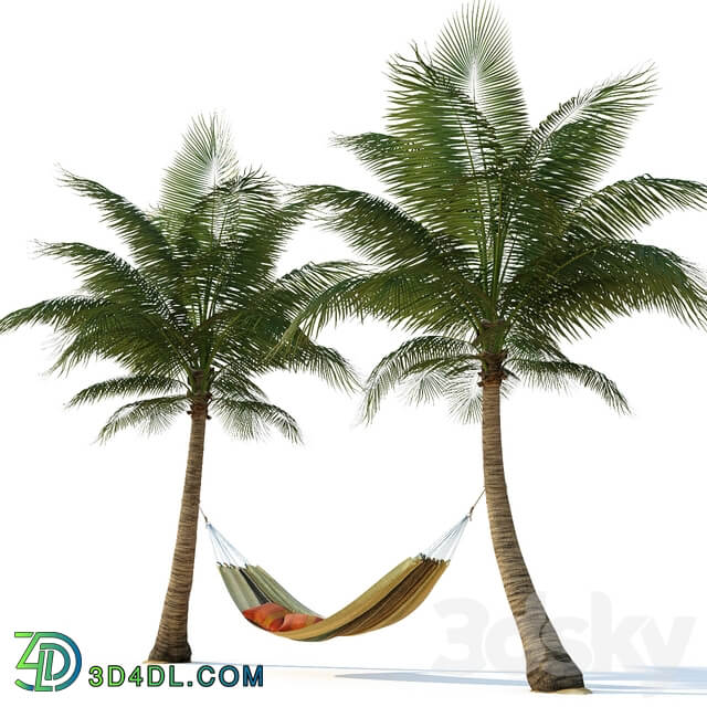 Hammock on palm trees Other 3D Models