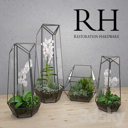 RH FACETED GLASS TERRARIUM 3D Models 
