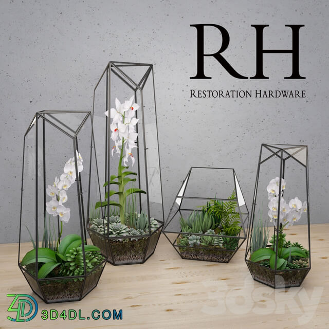RH FACETED GLASS TERRARIUM 3D Models