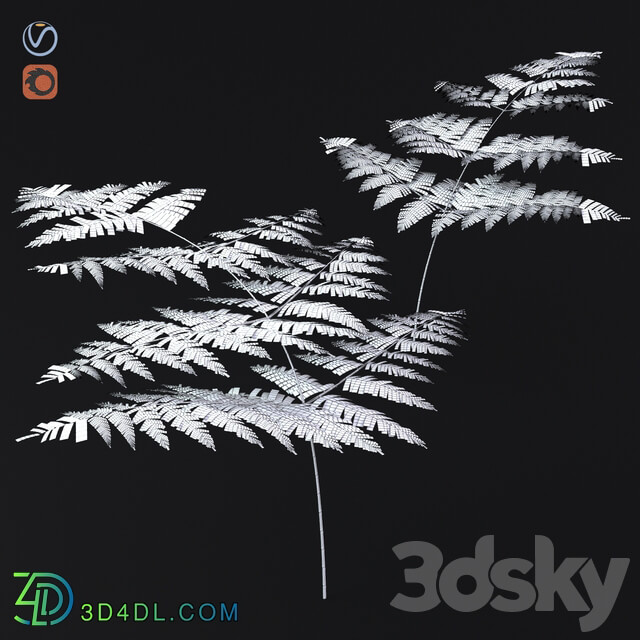 Fern Common Orlyak 3D Models