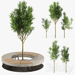 Tree Flowerbed 3D Models 