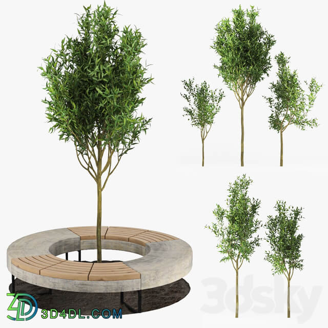 Tree Flowerbed 3D Models