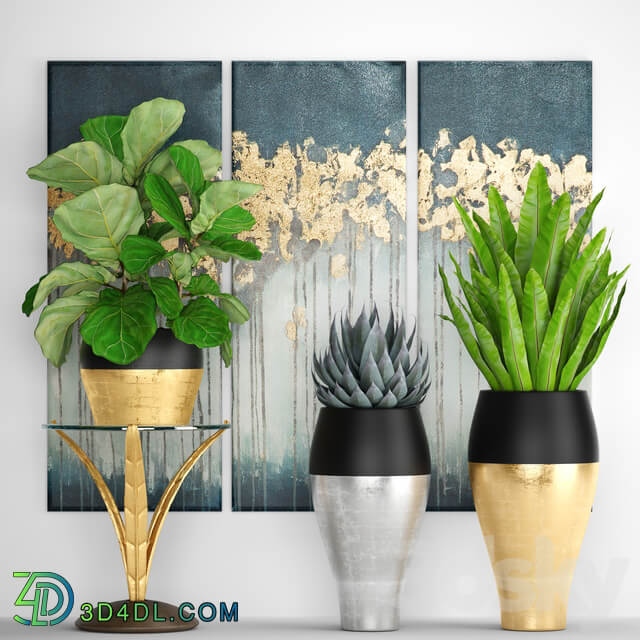 Collection of plants 90. Luxury plants painting gold decor flowerpot pot flower bush agave aspelinium ficus lyrata flower stand 3D Models