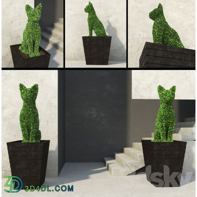 Côte Topiary 3D Models